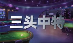 2024澳门2024免费材料网_澳门免费材料网V