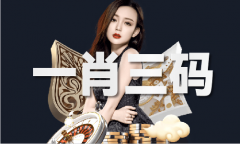 澳门49图库材料